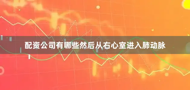 配资公司有哪些然后从右心室进入肺动脉