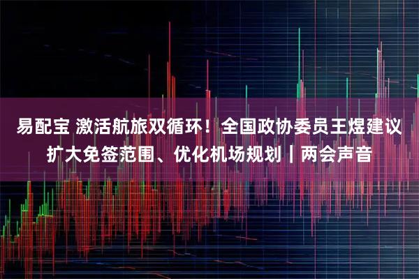 易配宝 激活航旅双循环！全国政协委员王煜建议扩大免签范围、优化机场规划｜两会声音