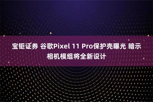 宝钜证券 谷歌Pixel 11 Pro保护壳曝光 暗示相机模组将全新设计