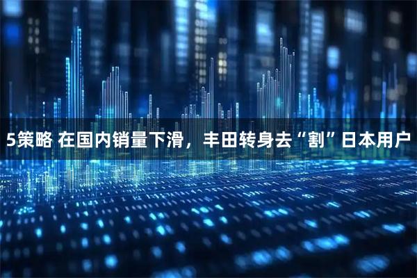 5策略 在国内销量下滑，丰田转身去“割”日本用户