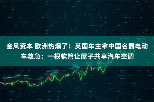 金风资本 欧洲热爆了！英国车主拿中国名爵电动车救急：一根软管让屋子共享汽车空调