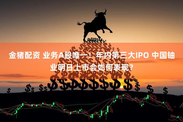 金猪配资 业务A股唯一！年内第三大IPO 中国铀业明日上市会如何表现？